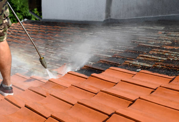 Best Pressure Washing Driveway  in Tower Lakes, IL