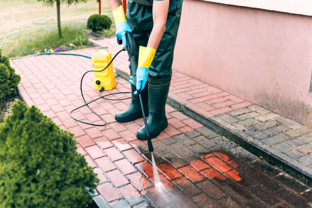 Best Roof Pressure Washing  in Tower Lakes, IL