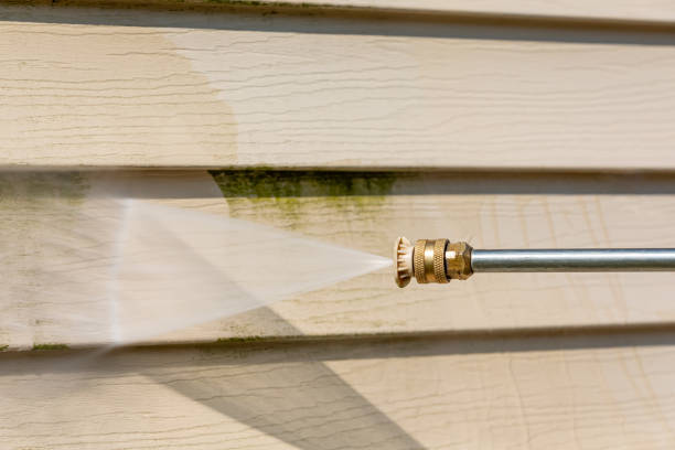 Best Pressure Washing Company Near Me  in Tower Lakes, IL